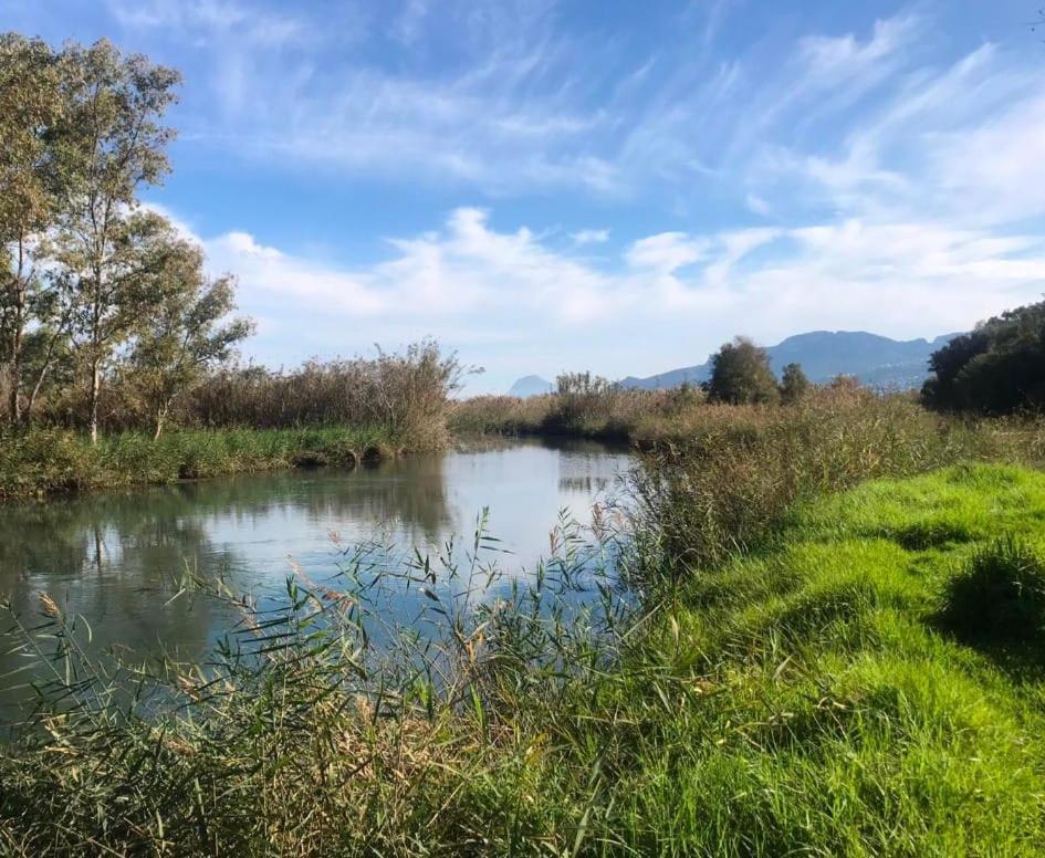Reina Daire Pego Dış mekan fotoğraf